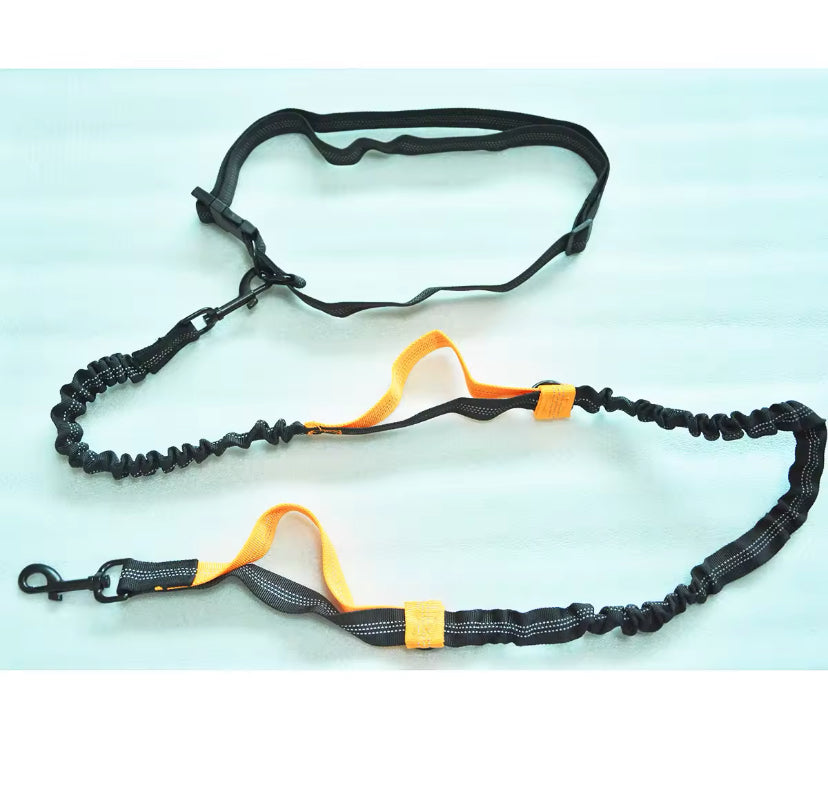 Hands Free Dog Lead For Running