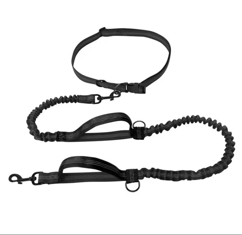 Hands Free Dog Lead For Running