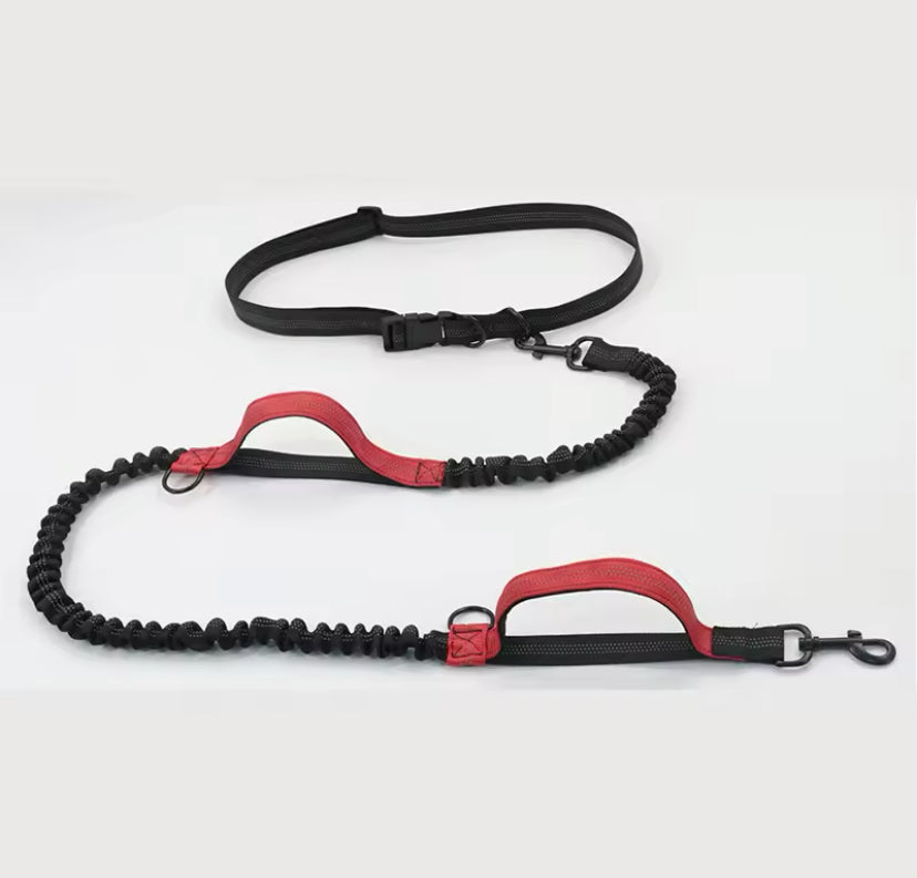 Hands Free Dog Lead For Running