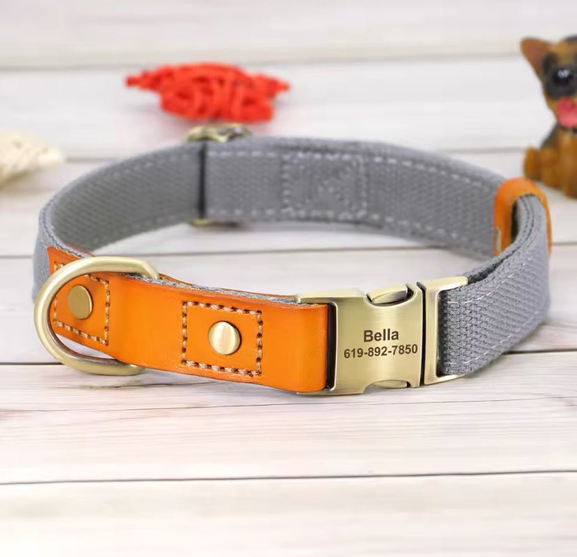 Engraved Nylon Dog Collar