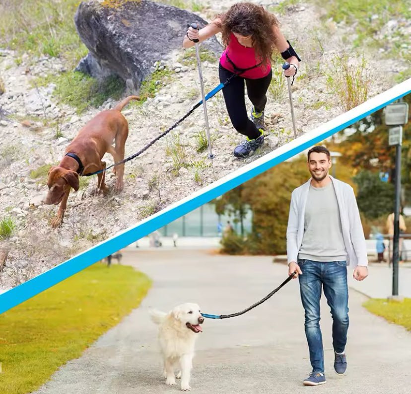 Hands Free Dog Lead For Running