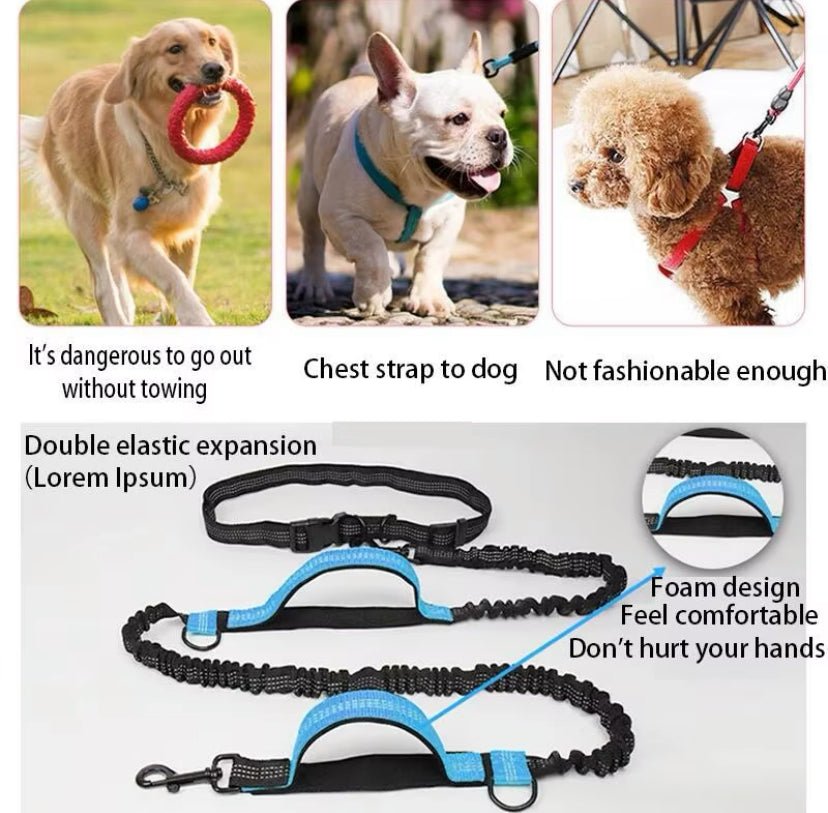 Hands Free Dog Lead For Running