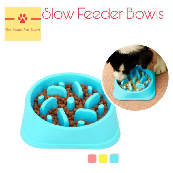 https://www.thehappypawstore.com/cdn/shop/products/slow-feeding-dog-bowls-937883_grande.jpg?v=1702980973